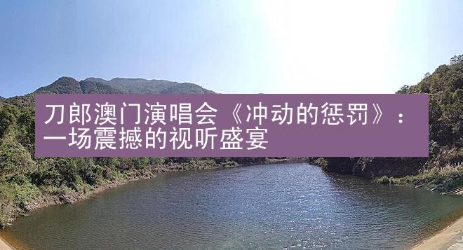 刀郎澳门演唱会《冲动的惩罚》：一场震撼的视听盛宴